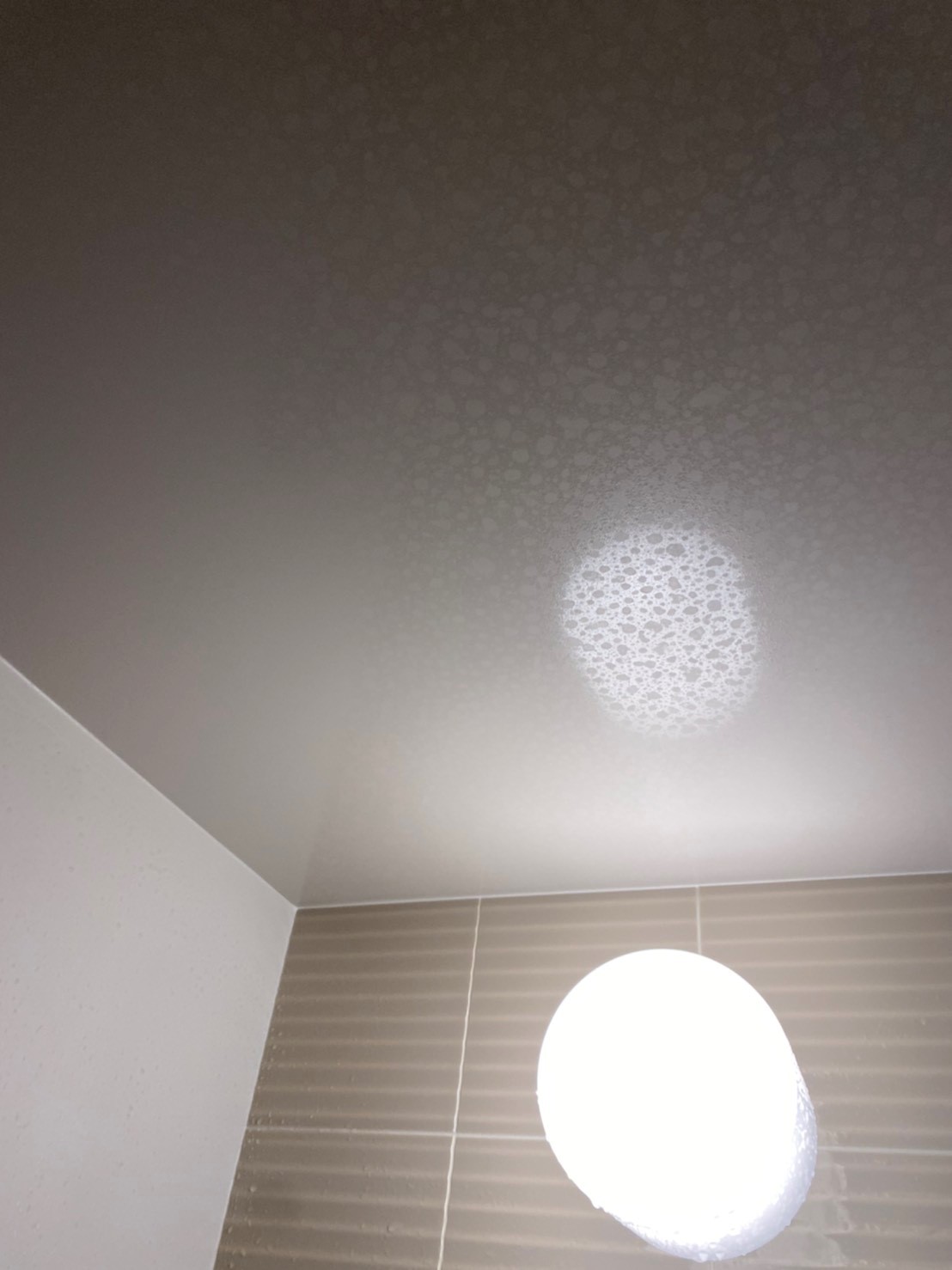 お風呂 浴室 の清掃 ガラスコーティングを東京都港区芝浦で行いました 施工事例54 水回りコーティング業者は川崎 横浜 東京施工可能なplus Oneへ